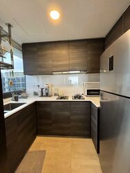 Sims Urban Oasis (D14), Condominium #453320801